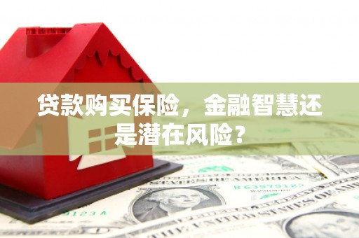 明溪贷款购买保险，金融智慧还是潜在风险？