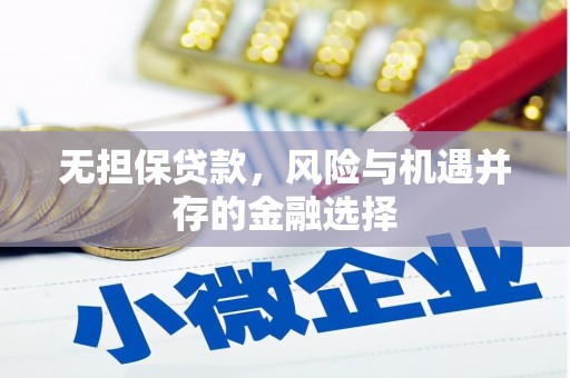 明溪无担保贷款，风险与机遇并存的金融选择