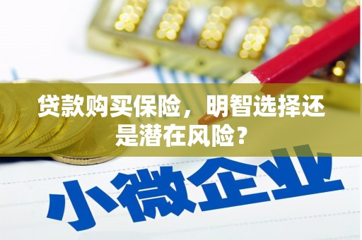 明溪贷款购买保险，明智选择还是潜在风险？