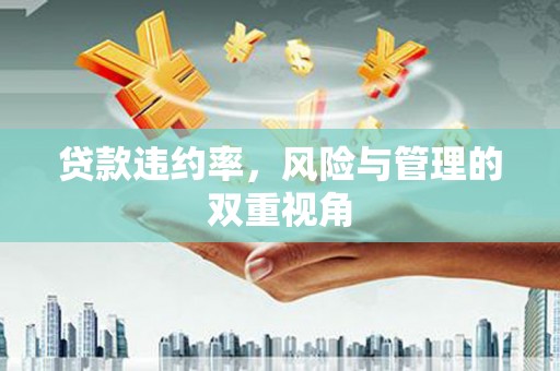明溪贷款违约率，风险与管理的双重视角