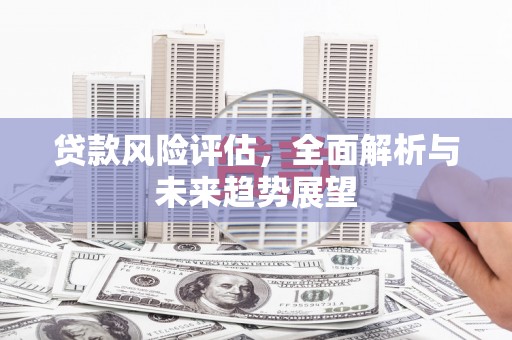 明溪贷款风险评估，全面解析与未来趋势展望