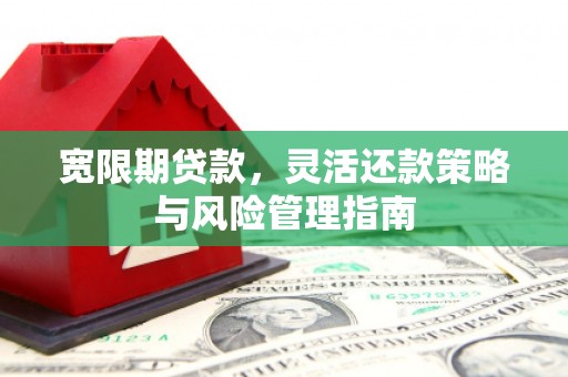 明溪宽限期贷款，灵活还款策略与风险管理指南