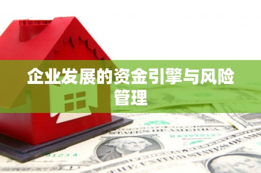 明溪企业发展的资金引擎与风险管理