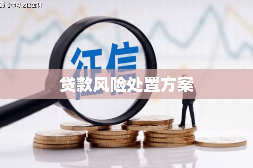 明溪贷款风险处置方案