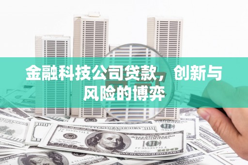 明溪金融科技公司贷款，创新与风险的博弈