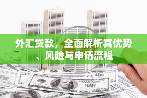 明溪外汇贷款，全面解析其优势、风险与申请流程