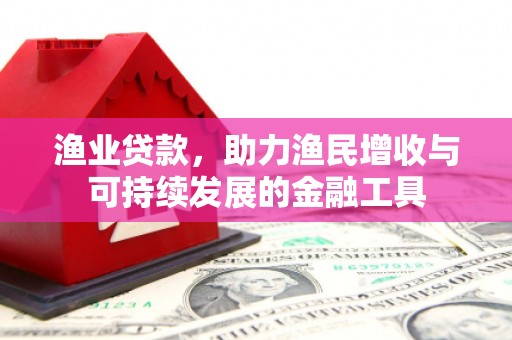 明溪渔业贷款，助力渔民增收与可持续发展的金融工具