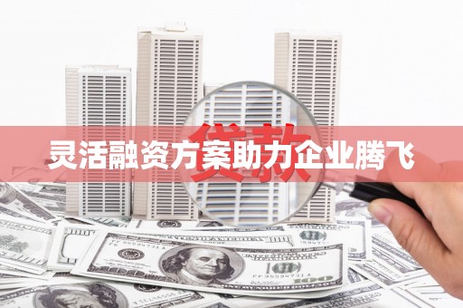 明溪灵活融资方案助力企业腾飞