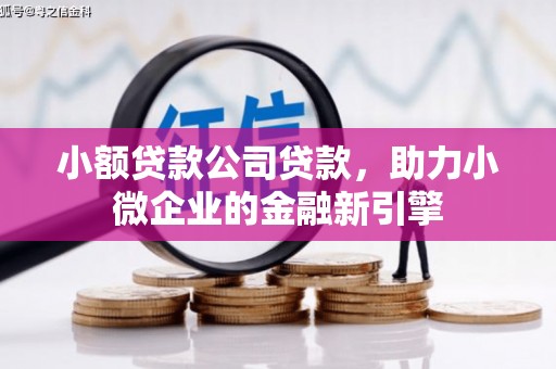 明溪小额贷款公司贷款，助力小微企业的金融新引擎