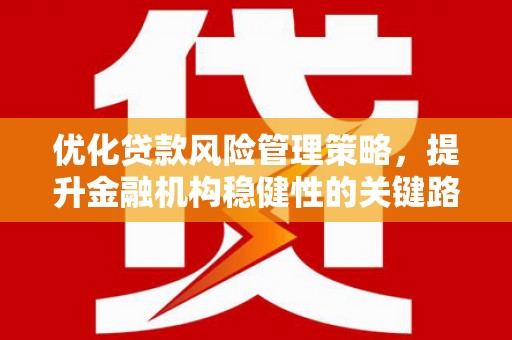 明溪优化贷款风险管理策略，提升金融机构稳健性的关键路径