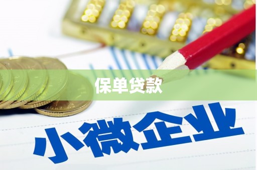 明溪保单贷款