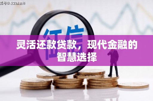明溪灵活还款贷款，现代金融的智慧选择