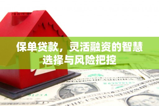 明溪保单贷款，灵活融资的智慧选择与风险把控