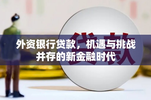 明溪外资银行贷款，机遇与挑战并存的新金融时代