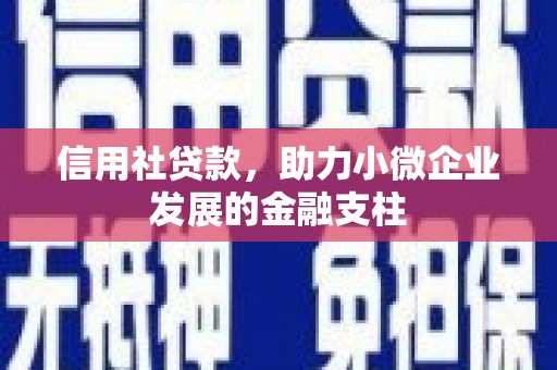 明溪信用社贷款，助力小微企业发展的金融支柱