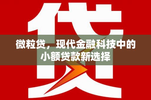 明溪微粒贷，现代金融科技中的小额贷款新选择