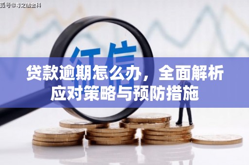 明溪贷款逾期怎么办，全面解析应对策略与预防措施