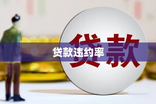 明溪贷款违约率