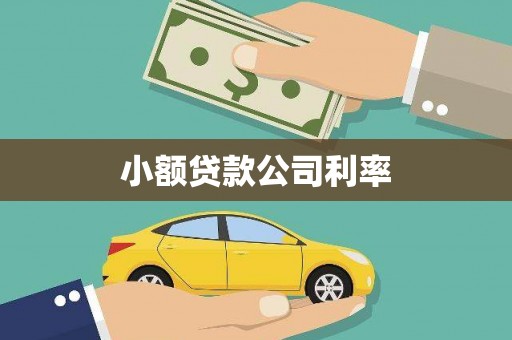 明溪小额贷款公司利率