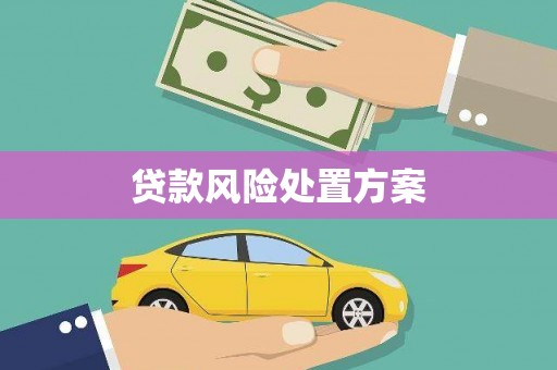 明溪贷款风险处置方案