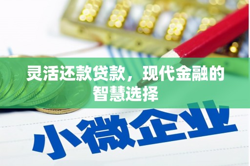 明溪灵活还款贷款，现代金融的智慧选择