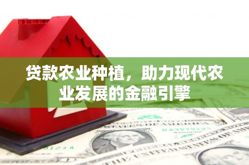 明溪贷款农业种植，助力现代农业发展的金融引擎