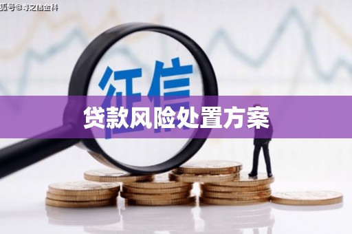 明溪贷款风险处置方案