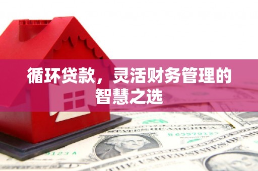 明溪循环贷款，灵活财务管理的智慧之选