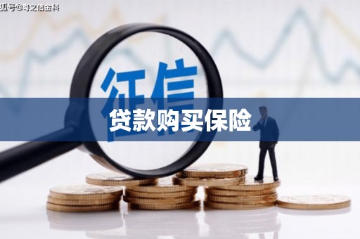 明溪贷款购买保险