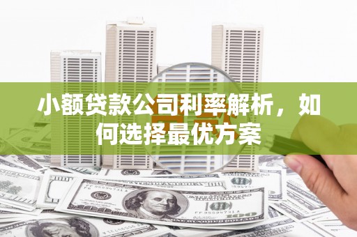 明溪小额贷款公司利率解析，如何选择最优方案