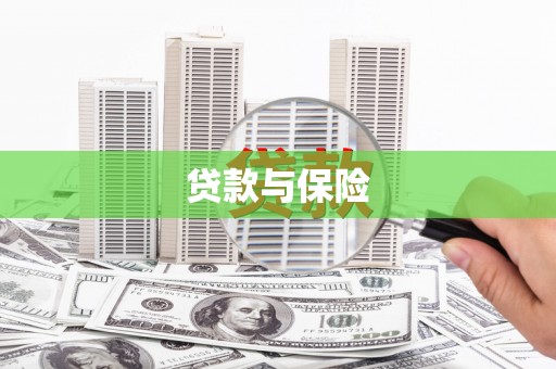 明溪贷款与保险