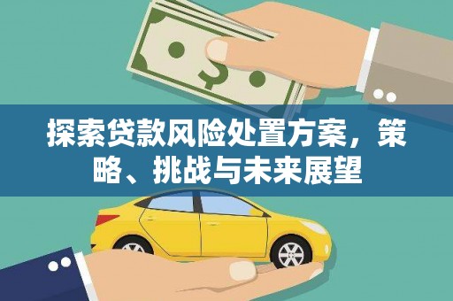 明溪探索贷款风险处置方案，策略、挑战与未来展望