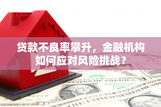 明溪贷款不良率攀升，金融机构如何应对风险挑战？