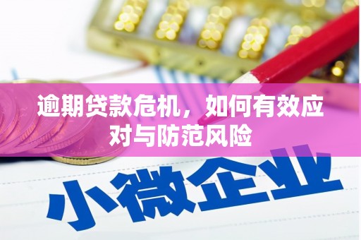 明溪逾期贷款危机，如何有效应对与防范风险
