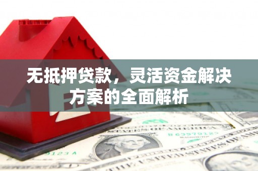 明溪无抵押贷款，灵活资金解决方案的全面解析