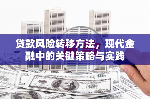 明溪贷款风险转移方法，现代金融中的关键策略与实践