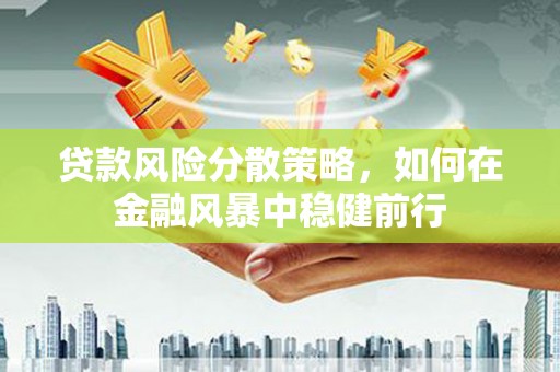 明溪贷款风险分散策略，如何在金融风暴中稳健前行