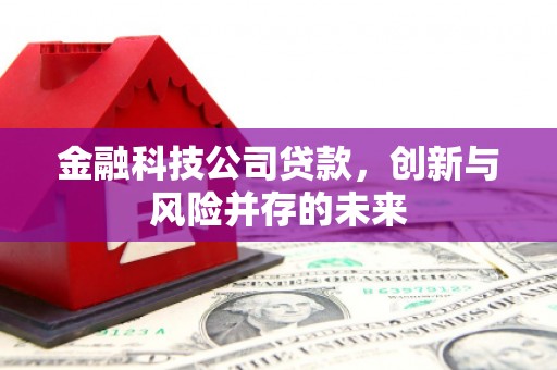 明溪金融科技公司贷款，创新与风险并存的未来