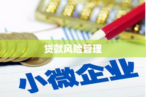 明溪贷款风险管理