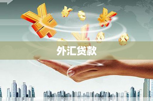 明溪外汇贷款