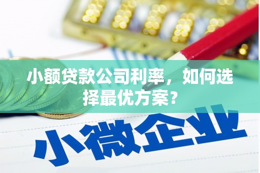 明溪小额贷款公司利率，如何选择最优方案？