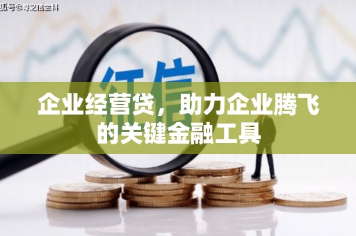 明溪企业经营贷，助力企业腾飞的关键金融工具