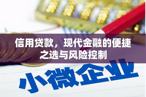 明溪信用贷款，现代金融的便捷之选与风险控制