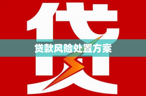 明溪贷款风险处置方案