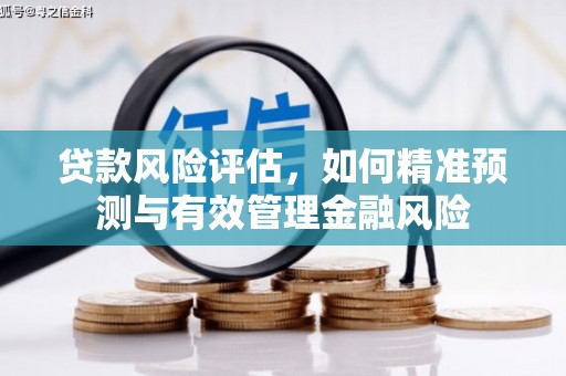 明溪贷款风险评估，如何精准预测与有效管理金融风险