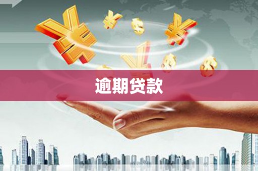 明溪逾期贷款