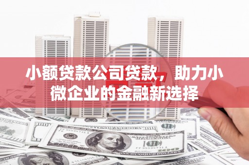 明溪小额贷款公司贷款，助力小微企业的金融新选择
