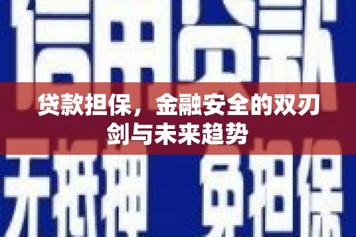 明溪贷款担保，金融安全的双刃剑与未来趋势