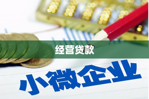 明溪经营贷款