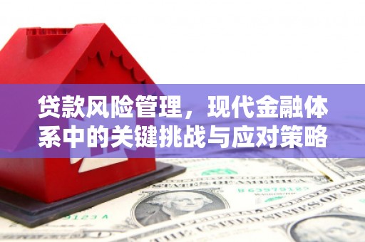 明溪贷款风险管理，现代金融体系中的关键挑战与应对策略